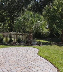 A stone patio curves into a green lawn with a palm tree, wooden fence, and trees in the background.