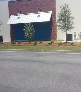 Three small trees and bushes planted in a mulched area outside a building with blue metal doors and HVAC units.