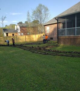 Several people work in a backyard, digging trenches in the grass near a brick house and wooden fence.