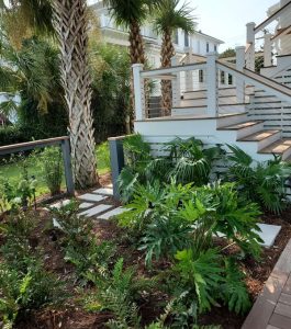 Stairs with white railings lead to a porch, surrounded by palm trees and lush green plants in a landscaped yard.