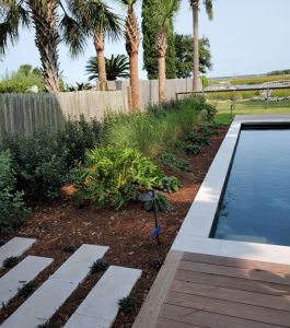 A landscaped garden with palm trees and shrubs next to a rectangular pool and wooden deck, bordered by a fence.