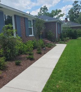 A concrete walkway leads to the entrance of a brick house with landscaped bushes and a well-kept lawn.