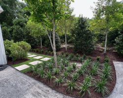 Landscaped garden with a stone path, mulch, young trees, and neatly arranged green plants along the border.