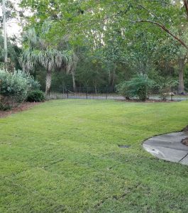 A freshly mowed lawn with surrounding trees, bushes, and a curved concrete pathway on the right side.