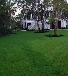 House with white stairs and railings in the background, surrounded by trees and a well-maintained green lawn.