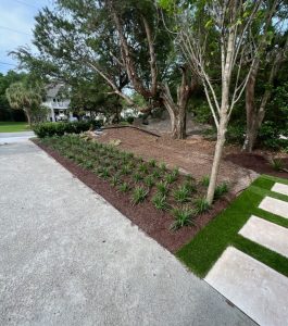 A landscaped yard with young plants in mulch beside a driveway and stone pavers, with trees in the background.