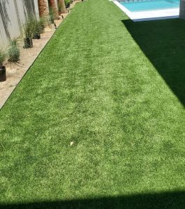A backyard with green artificial grass, palm trees along a fence, and a swimming pool in the background.