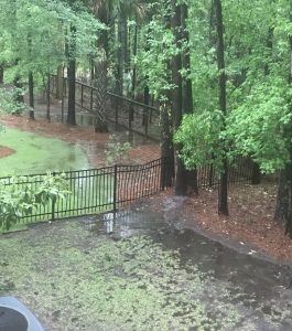 Rainwater flooding a grassy backyard area next to a black metal fence and trees.