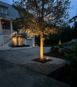 A tree illuminated by a ground light stands in a paved driveway near a house at dusk.