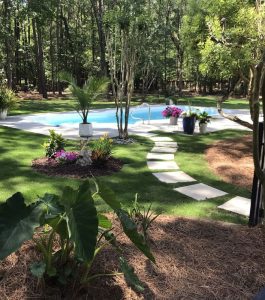 A landscaped backyard features a pool, potted plants, a curved stone path, and trees bordering the area.