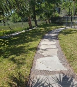 Stone pathway curves through a grassy yard lined with palm trees and a black metal fence on a sunny day.