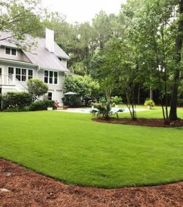 Two-story house with a large green lawn, trees, and a swimming pool in the backyard.
